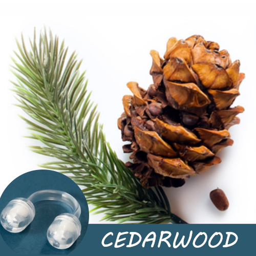 Image of a cedar pinecone with green cedar needles, accompanied by a Pur-Air-Fy intranasal inhaler. The text "Cedarwood" is displayed on the image