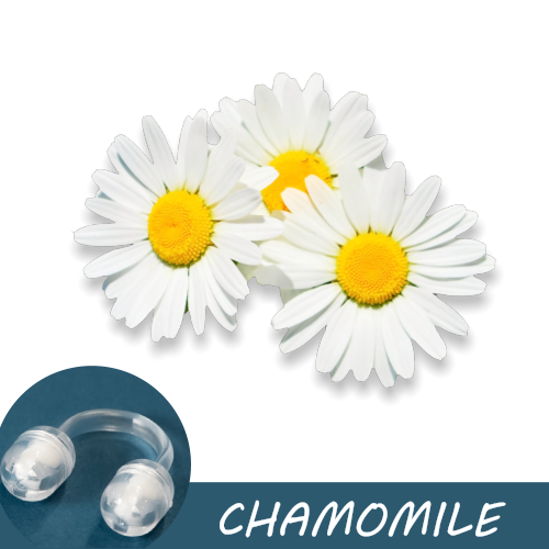 Image of white chamomile flowers with yellow centers, featuring a Pur-Air-Fy intranasal inhaler in the foreground. The text "Chamomile" is displayed on the image