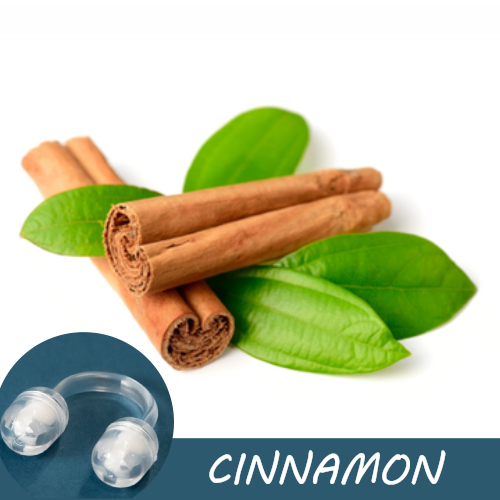 Image of cinnamon sticks and green cinnamon leaves, with a Pur-Air-Fy intranasal inhaler in the foreground. The text "Cinnamon" is displayed on the image