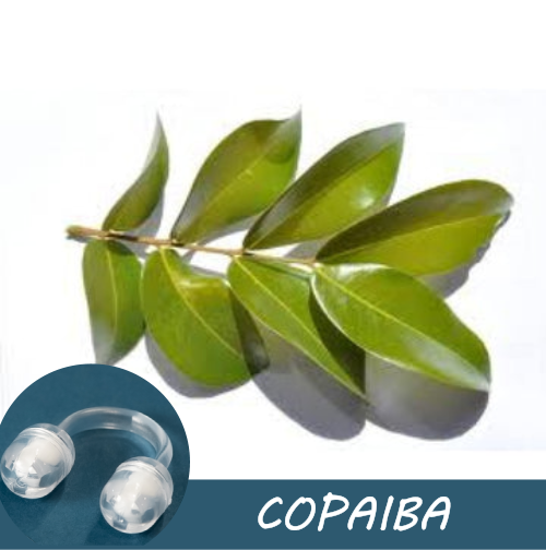 Image of fresh copaiba leaves with a Pur-Air-Fy intranasal inhaler in the foreground. The text "Copaiba" is displayed on the image