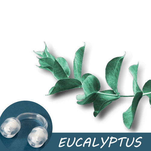 Image of fresh eucalyptus leaves with a Pur-Air-Fy intranasal inhaler in the foreground. The text "Eucalyptus" is displayed on the image