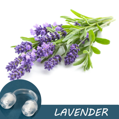 Image of fresh lavender flowers with a Pur-Air-Fy intranasal inhaler in the foreground. The text "Lavender" is displayed on the image
