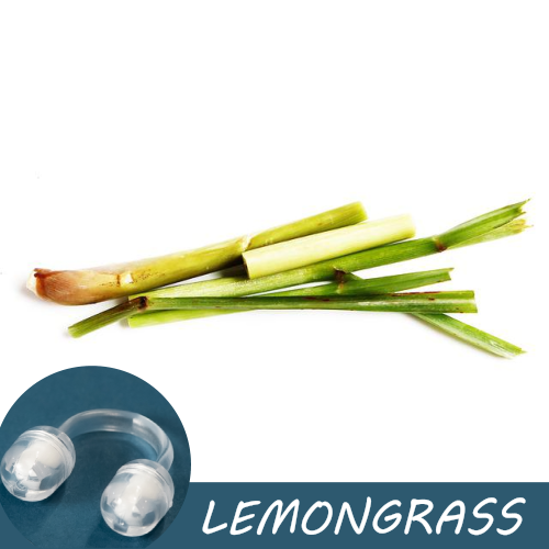 Image of fresh lemongrass stalks with a Pur-Air-Fy intranasal inhaler in the foreground. The text "Lemongrass" is displayed on the image