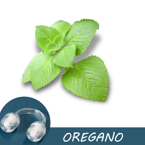 Image of fresh oregano leaves with a Pur-Air-Fy intranasal inhaler in the foreground. The text "Oregano" is displayed on the image