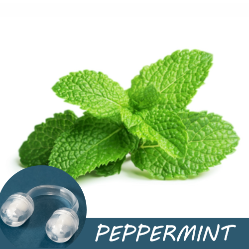 Image of fresh peppermint leaves with a Pur-Air-Fy intranasal inhaler in the foreground. The text "Peppermint" is displayed on the image