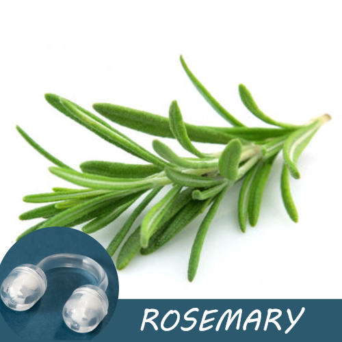 Image of fresh rosemary sprigs with a Pur-Air-Fy intranasal inhaler in the foreground. The text "Rosemary" is displayed on the image
