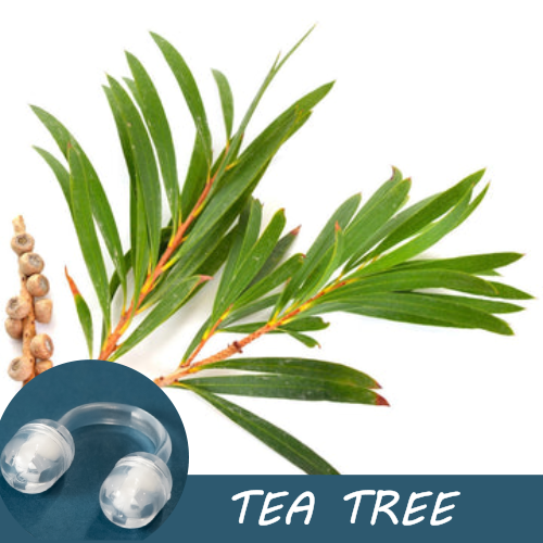 Tea Tree
