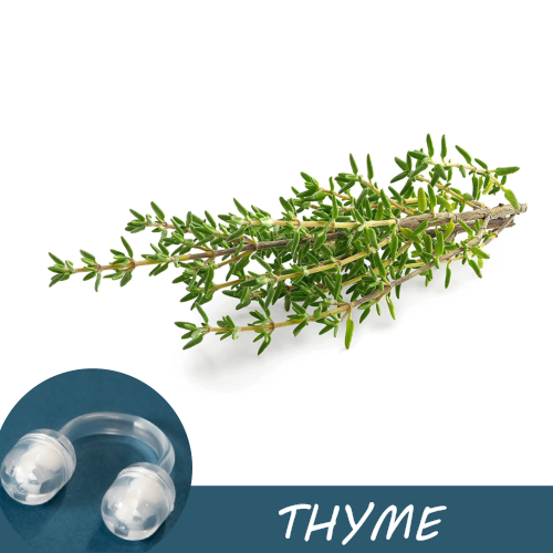 Thyme