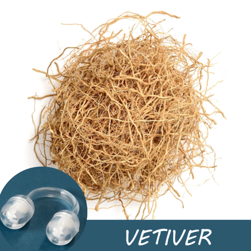 Image of dried vetiver roots with a Pur-Air-Fy intranasal inhaler in the foreground. The text "Vetiver" is displayed on the image