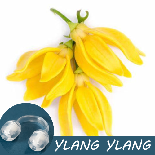Yellow Ylang Ylang flower with a Pur-Air-Fy intranasal inhaler in the foreground. The text "Ylang Ylang" is displayed on the image