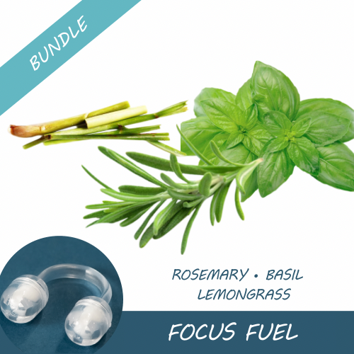 Focus Fuel