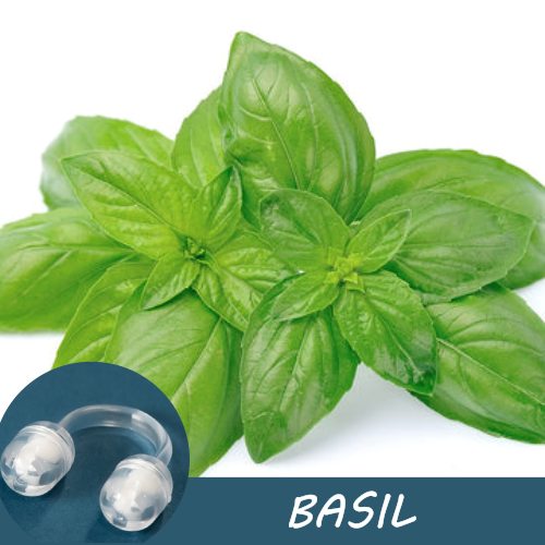 Image of fresh basil leaves with a Pur-Air-Fy intranasal inhaler in the foreground. The text "Basil" is displayed on the image